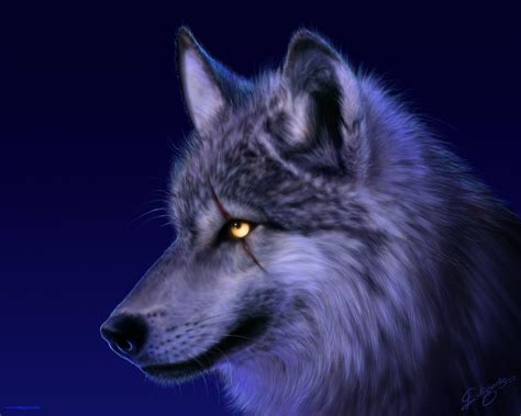 Spirit Wolf Wallpapers Top Free Spirit Wolf Backgrounds Wallpaperaccess