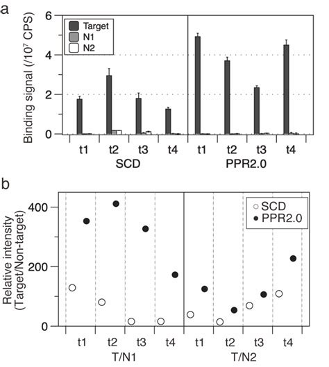 Designer Ppr Proteins Of The Ppr Scaffold Have Higher Binding