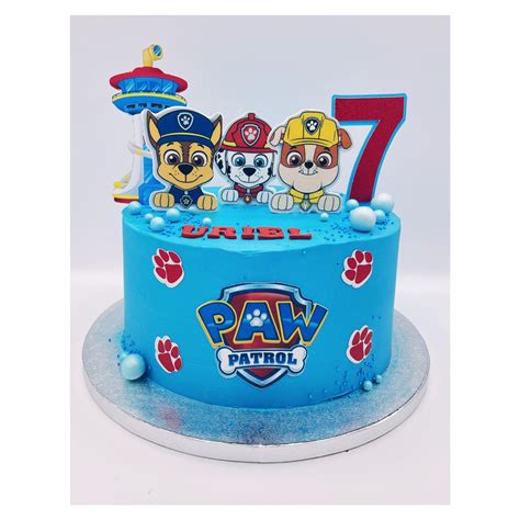 blue paw patrol birthday cake – Cambridge Fancy Cakes