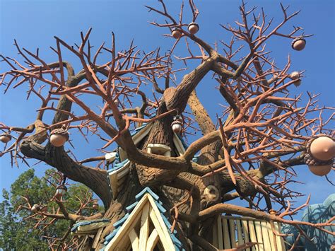 Chip And Dale Treehouse Mickey S Toontown Disneyland Disneyland