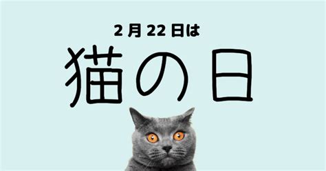 2月22日は猫の日！何をする？2024年のイベントを紹介！｜shiho