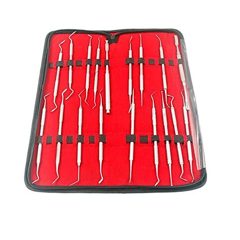 Amazon LAJA IMPORTS Assorted Set Of 18 PCS Dental Instruments