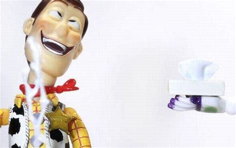 The Secret Life Of Woody From Toy Story 46 Pics