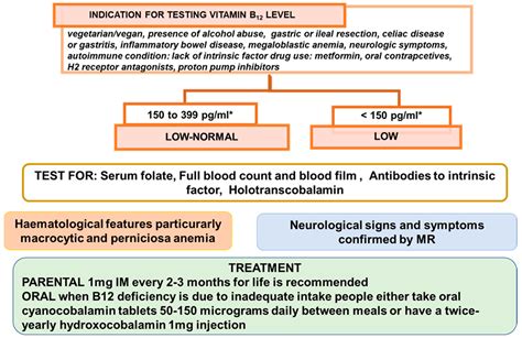 Ijms Free Full Text A Brief Review On Vitamin B Deficiency