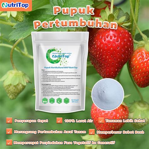 Jual Pupuk Hortikultura Map Nutritop Gram Shopee Indonesia