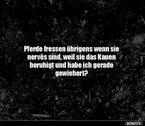 Pferde fressen übrigens wenn sie nervös sind weil sie das Kauen