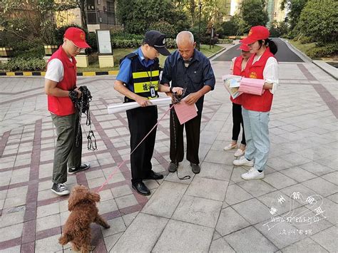 规范养犬行为 市综合行政执法局开展集中宣传活动 嵊州新闻网