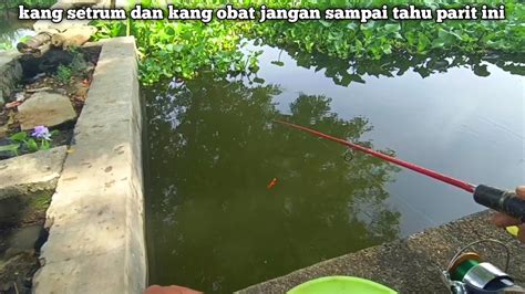 Gemetarandi Kira Di Sambar Ikan Kecil Tapi Ternyata Babon Ikan Mas