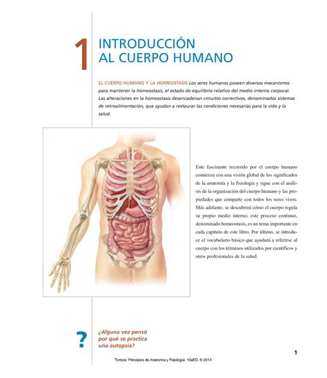 Anatomia Y Fisiologia Del Cuerpo Humano Este Fascinante