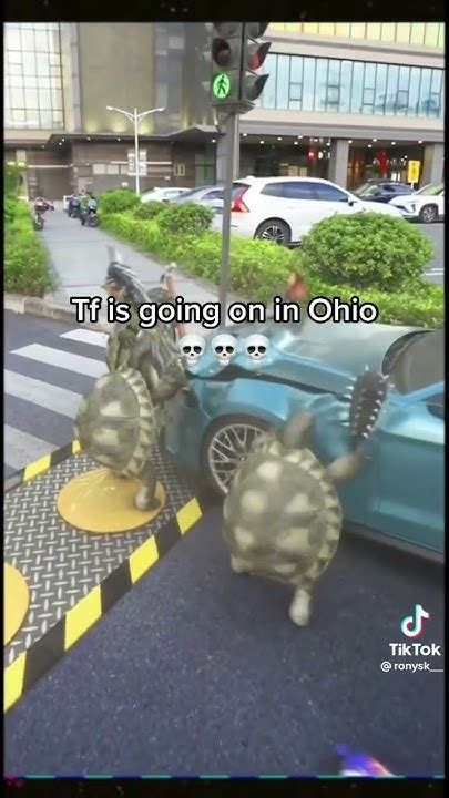 Tf Goin On Bruh Ninja Turtles From Ohio Youtube