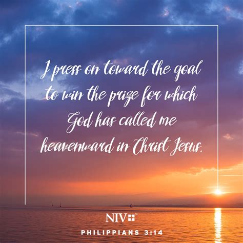 NIV Verse Of The Day Philippians 3 14