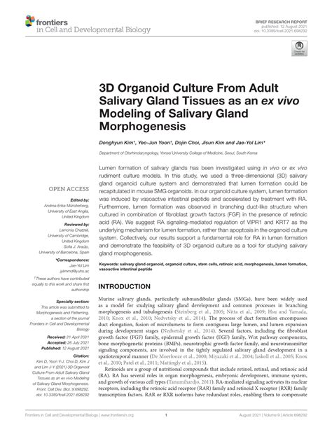 D Organoid Culture From Adult Salivary Gland Tissues As An Ex Vivo