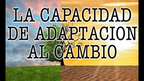 Top Imagen Cuentos Sobre Adaptacion Al Cambio Abzlocal Mx