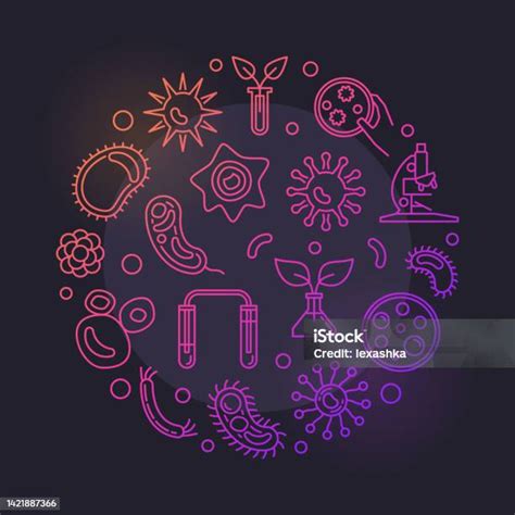 Microbiology Round Vector Bright Illustration In Thin Line Style Stock