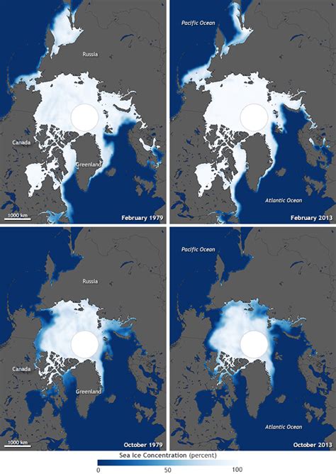 Despite Antarctic Gains Global Sea Ice Is Shrinking Noaa Climate Gov