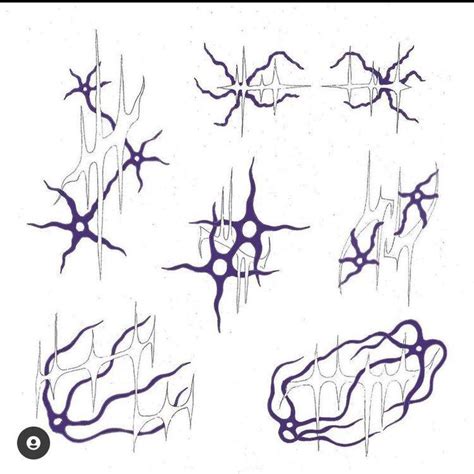 An Image Of Different Shapes And Sizes Of Branches On A White Sheet