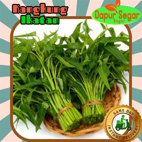 Jual Kangkung Hijau Segar Per Ikat Sayur Segar Bogor Dapur Segar