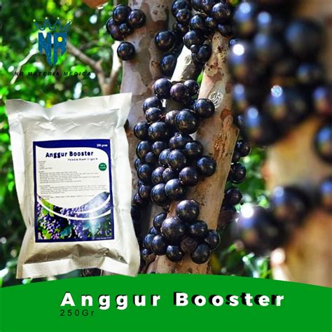 Jual Pupuk Booster Pelebat Buah Anggur Nutrisi Untuk Bunga Dan Buah