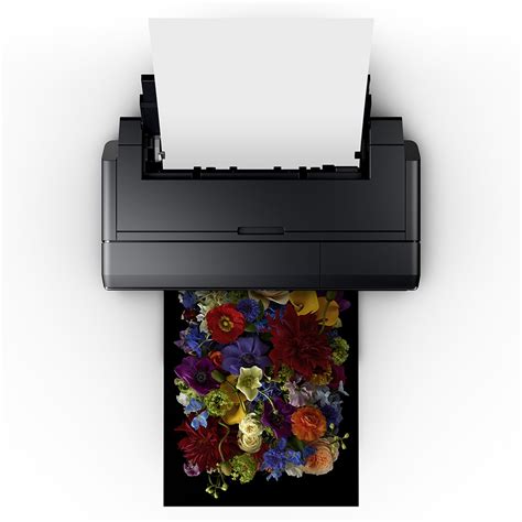 Epson Surecolor Sc P800 Roll Unit A2 Plotter 17 Inch