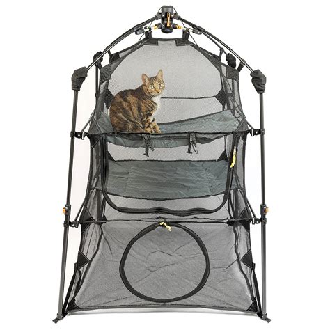 Buy Cat Enclosure Kitten And Cat Playpen For Indoor Cats Cat Cage