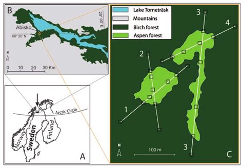 Map of Fennoscandia (A), showing the study region near Lake Torneträsk ...