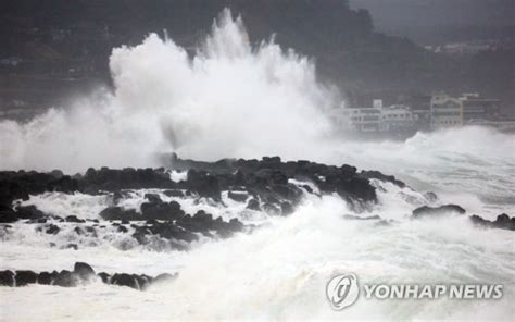 태풍 `타파` 제주에 500㎜↑ 물 폭탄하늘·바닷길 끊겨 매일경제