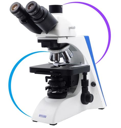 Laboratory Compound Optical Microscope 1000x