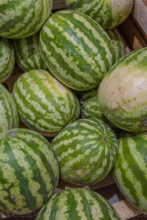 Watermelons In The Wooden Container On Supermarket Shelf Watermelon On