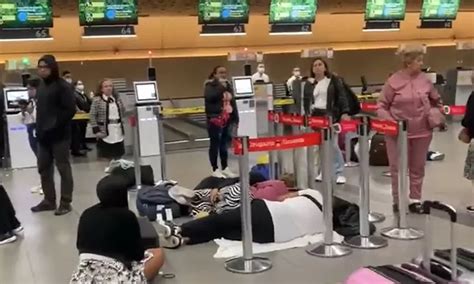 Viva Air Aerolínea suspende vuelos y peruanos se encuentran varados en