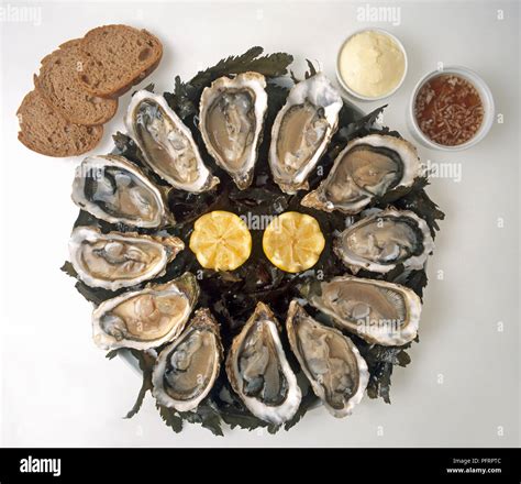 Arcachon oysters hi-res stock photography and images - Alamy