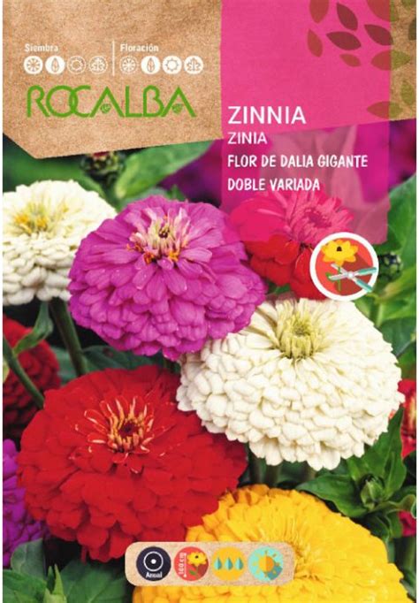 Zinia Flor De Dalia Gigante Doble Variada Tecnicampo