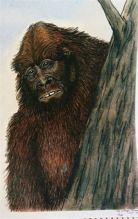 Sasquatch Drawing Titled The Peeker Etsy