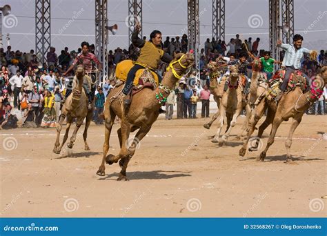 PUSHKAR, INDIA - NOVEMBER 21: Pushkar Camel Mela (Pushkar Camel Fair ...