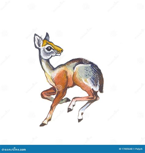 Pygmy Antelope Silhouette Vector Illustration | CartoonDealer.com ...