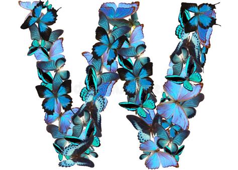 Letter Of Blue Butterfly Stock Illustration Illustration Of Figure