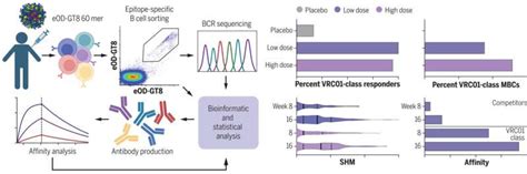 Clinical Trial Shows Promising Results For Inciting Production Of