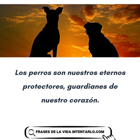 Frases De Perros El Lenguaje Del Amor Canino