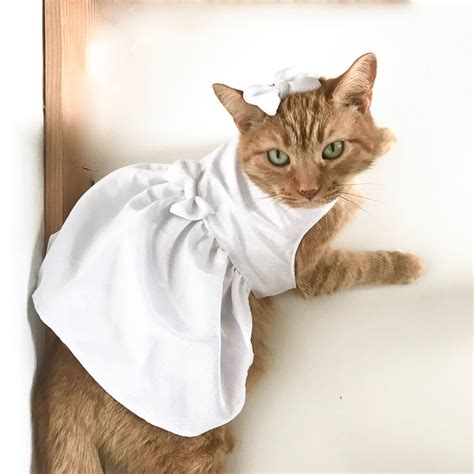 Cat Dress In White Princess Formal Wedding Cat Costume Birthday Cat