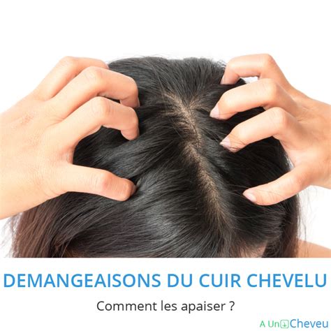 D Mangeaisons Du Cuir Chevelu Comment Les Apaiser Demangeaison