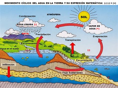 Fundamentos De La Ciencia El Ciclo Del Agua Y Su Importancia En El