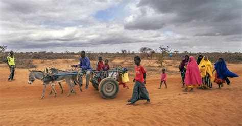 Allarme Della Banca Mondiale Il Divario Tra Paesi Ricchi E Poveri