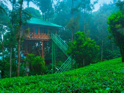 Top 9 Best Tree Houses In Munnar Munnar Insider Travel Blog