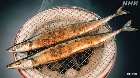 サンマの塩焼きジュウジュウ 大根おろしショリショリッ 炊き立てご飯パカッフワッ ポン酢トットットッ ハムッ｜あにまん掲示板