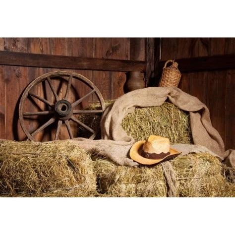 2 2X1 5M Vinyle Photographie Fond Western Cowboy Chapeau Foin Paille