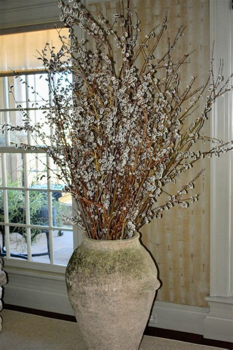 Gathering Pussy Willows At My Farm The Martha Stewart Blog
