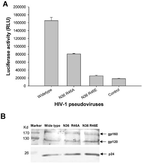 Effect Of R46 Mutations In Gp41 NHR Region On Viral Infectivity And Env