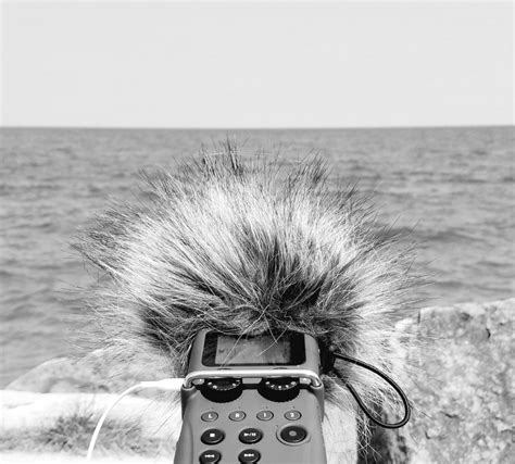 Plastic Cameras – THE DELI