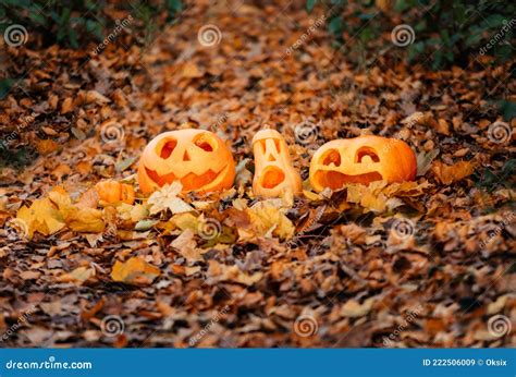 Halloween Pompoen Op Droge Gedode Herfstbladeren Stock Afbeelding