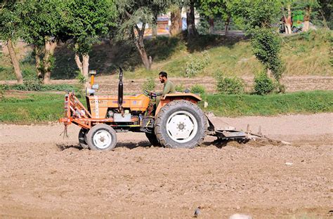 A farmer harvesting for new crop with the help of Tractor in their fields