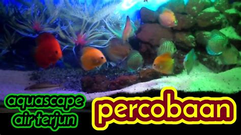 Aquarium Ikan Discus Aquascape Air Terjun Percobaan Youtube